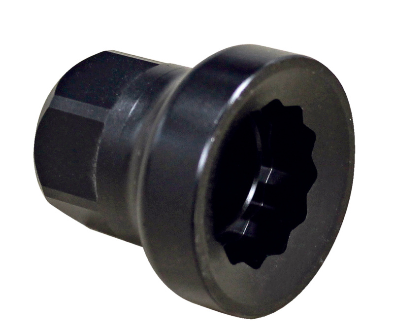 1/2 Zoll Traggelenk-Stecknuss TRGGLKWZG-STESHSL-1/2ZO-6KT-SW24