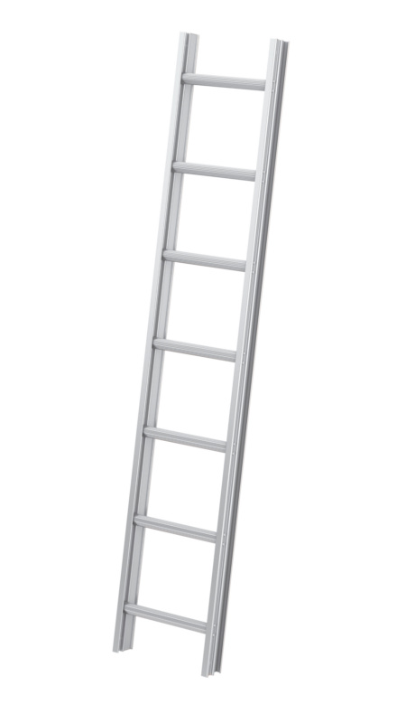 Dach-Montageleiter DMNTGLEI-ALU-NATUR-7SPRO-197CM