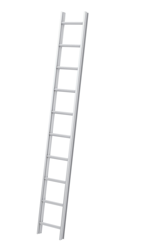 Dach-Montageleiter DMNTGLEI-ALU-NATUR-10SPRO-281CM