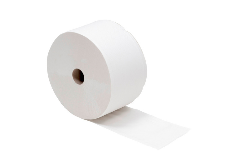 Putzpapier ECOLINE PUPAP-ROLLE-2LAGIG-22CM-2500BL-ABRISS