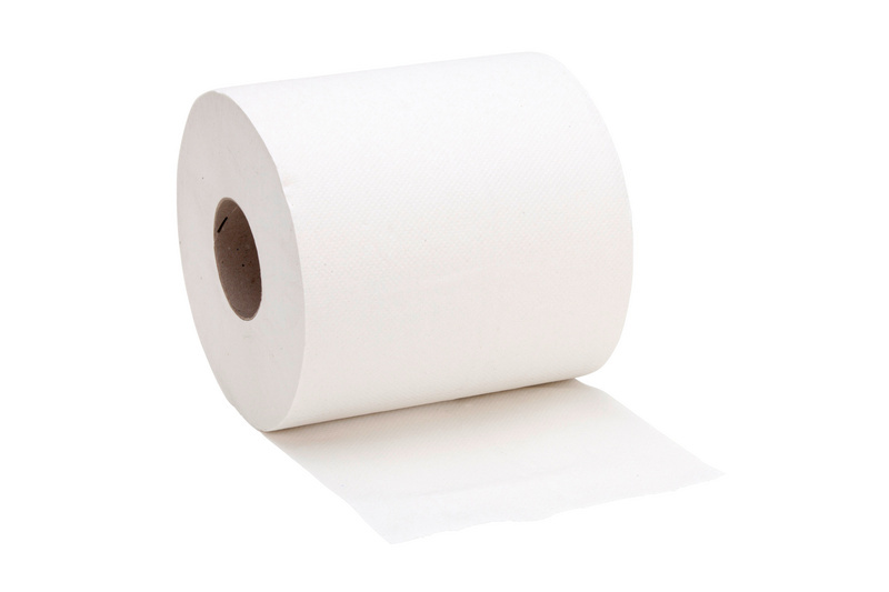 Putzpapier PUPAP-ECO-2LAGIG-L150M-500BLATT