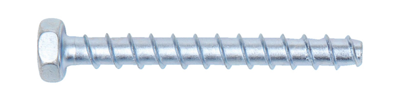 Schraubanker 20X100/10 W-SA