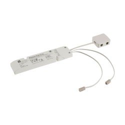 ZigBee/Alexa Dimm- und Farbsteuerung für LED-Leuchten 24V