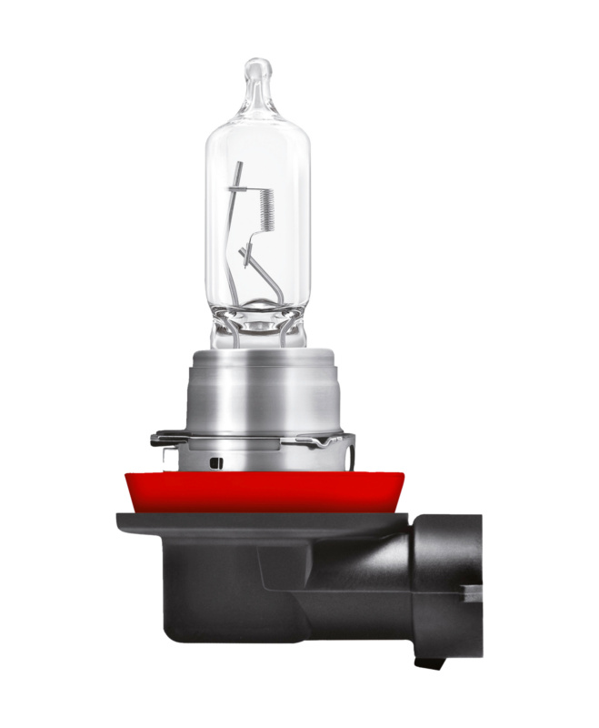 Halogenlampe H9 12V