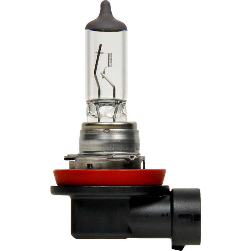 Halogenlampe H8 12V