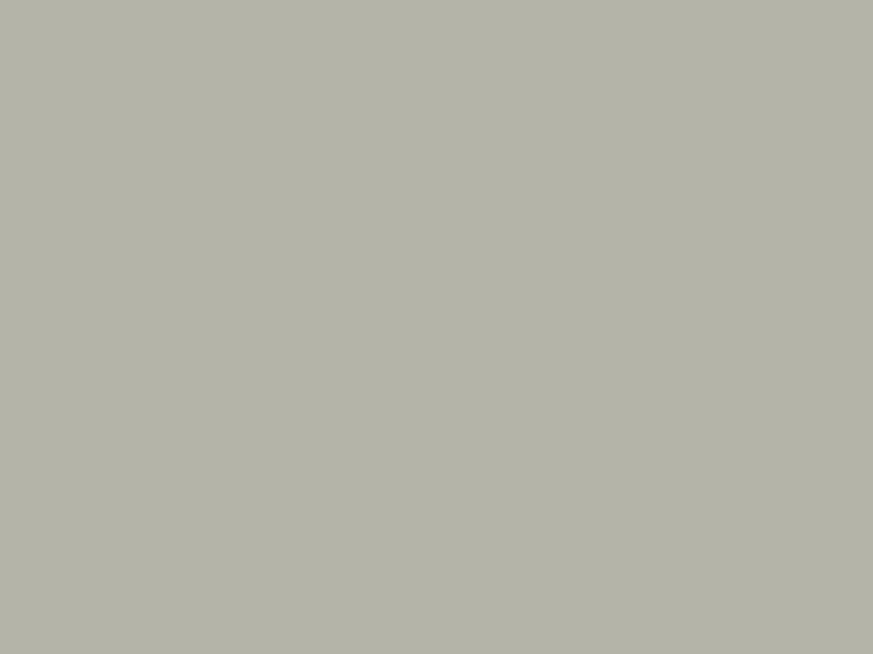 Neutralsilikon Perfekt SILDI-NEUT-PERFEKT-SEIDENGRAU-310ML