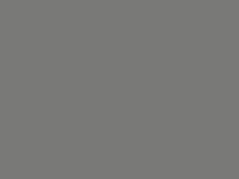 Neutralsilikon A8 PRO SILDI-NEUT-(A8 PRO)-GRAU-RAL7037-310ML
