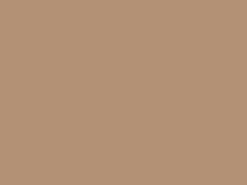 Acetatsilikon Nasszelle SILDI-ACE-NASSZELLE-CARAMEL-310ML