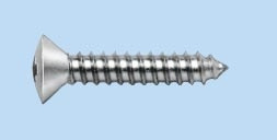 Linsensenk-Blechschraube Form C mit Kreuzschlitz Z 4,8 x 38
