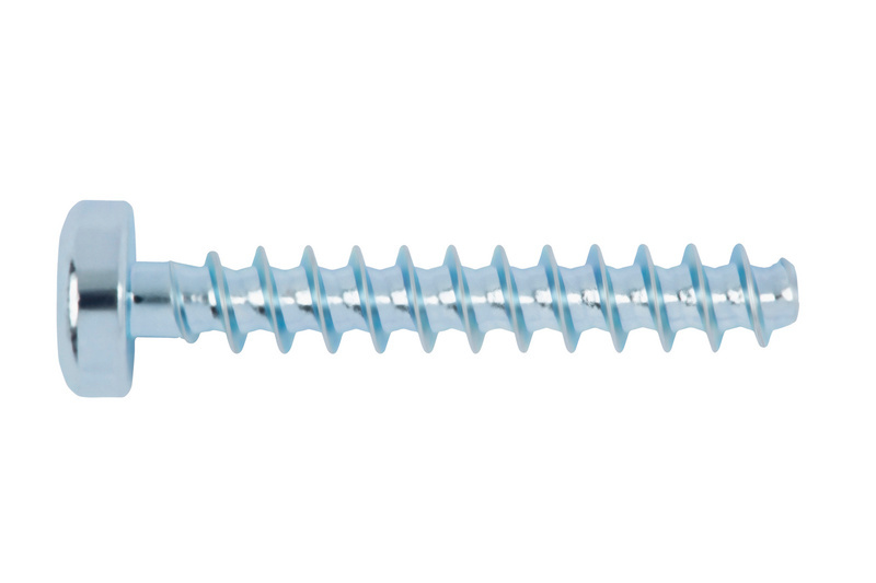 WÜPLAST®  Linsenkopfschraube mit Innensechsrund 3 x 30