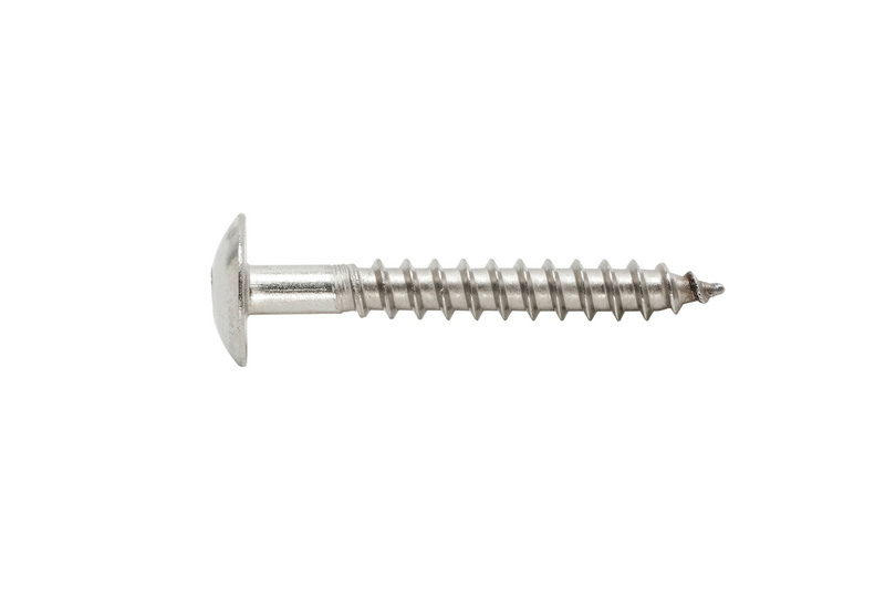 Fassadenschraube mit Kopflackierung W-FS 4,8 x 38 mm