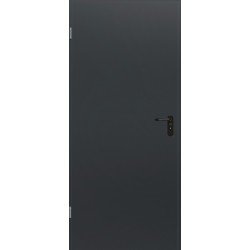 ZK Mehrzwecktür B.1000mm H.2000mm DIN re.RAL7016 Stahlbl.HÖRMANN