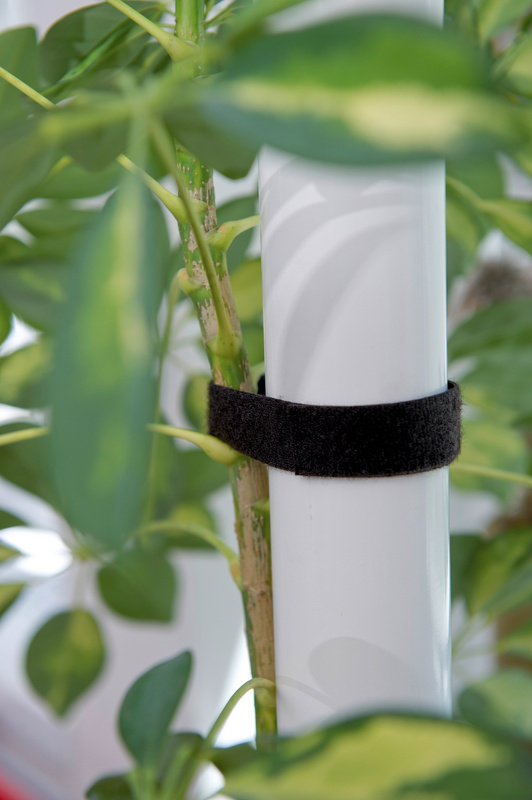 Klettband doppelseitig VELCRO-DP-SCHWARZ-B20MM-L25M