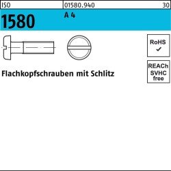 Flachkopfschraube ISO 1580 Schlitz M6x 10 A 4 200 Stück
