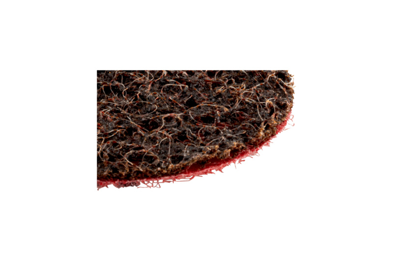 Mini-Vliesscheibe RED PERFECT®  3D SHLFSHB-NYLVLI-GROB-D50MM