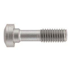 Klemmschraube für ISO D-Klemmsystem