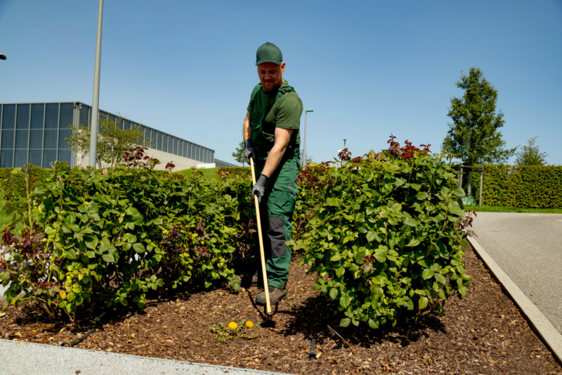 Gartenhacke mit Zinken GARTHACK-ST/HO-2ZINKEN-1350X270MM