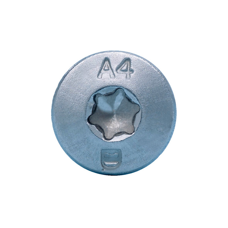 Linsensenk-Blechschraube Form C mit AW-Antrieb Gleitbeschichtet 5,5 x 50