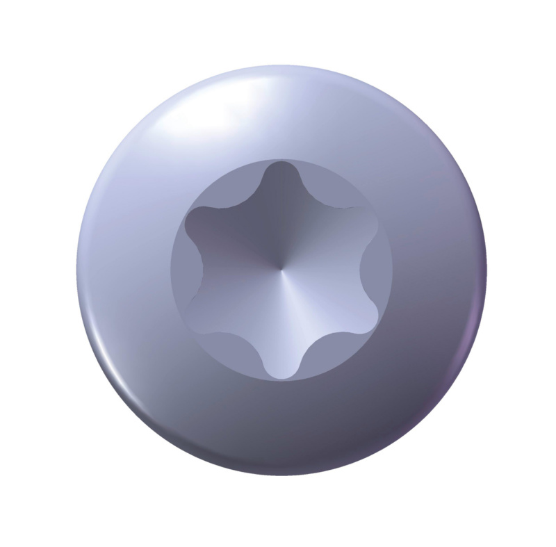 WÜPLAST®  Linsenkopfschraube mit Innensechsrund 5 x 8