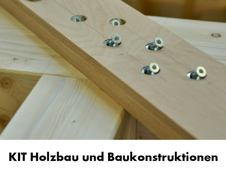 Winkelscheibe 45° 8,5xd25mm für Hartholz