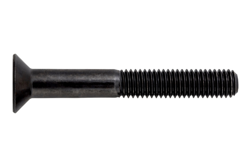 Senkschraube mit Innensechskant M16 x 200 ISO 10642, Stahl 010.9, blank