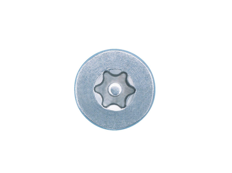 Sicherheitsschraube mit Innensechsrund u. Pin M4 x 40