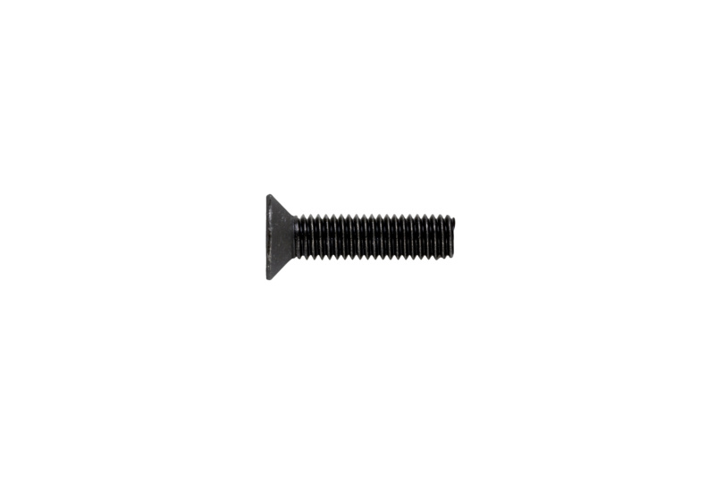 Senkschraube mit Innensechsrund M8 x 20