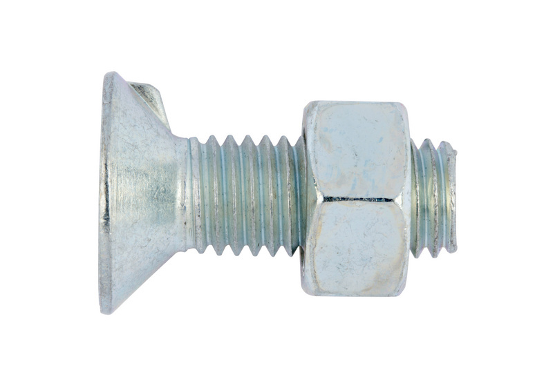 Senkschraube mit Nase und Mutter SHR-SEKPF-DIN604-M.MU-4.8-(A2K)-M10X35