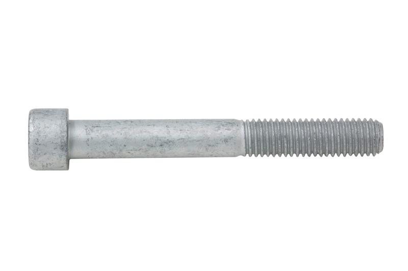 Zylinderschraube mit Innensechskant M12 x 125