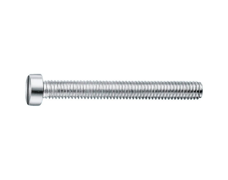 Zylinderschraube mit Schlitz M8 x 55 DIN 84, Stahl 4.8, vernickelt (E2J)