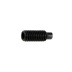 Gewindestift mit Innensechskant und Zapfen M6 x 16 ISO 4028, Stahl 45H, blank