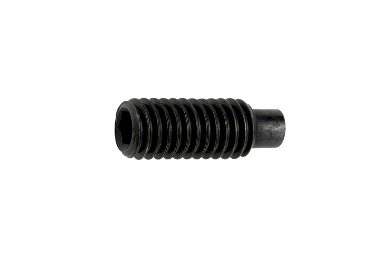 Gewindestift mit Innensechskant und Zapfen M6 x 20 ISO 4028, Stahl 45H, blank
