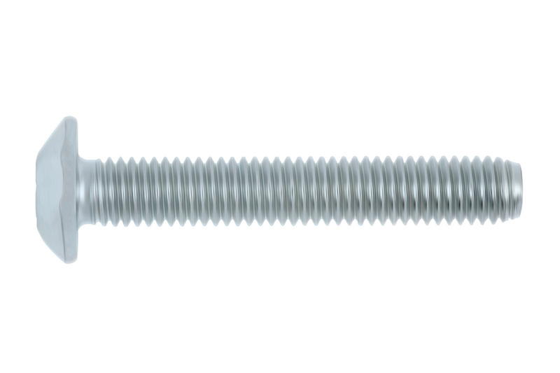 Sicherheitsschraube Flachrundkopf mit AW Antrieb u. Stopfen 8 x 25