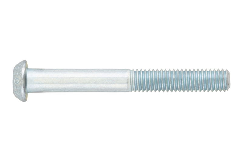 Schraube abgeflachter Halbrundkopf und Innensechskant M6 x 60