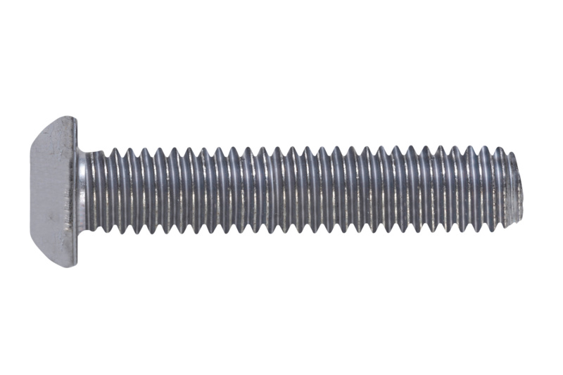 Schraube abgeflachter Halbrundkopf und Innensechskant M8 x 25