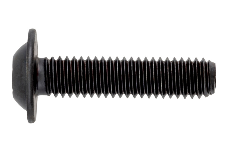 Schraube abgeflachter Halbrundkopf mit Bund und Innensechskant M8 x 22