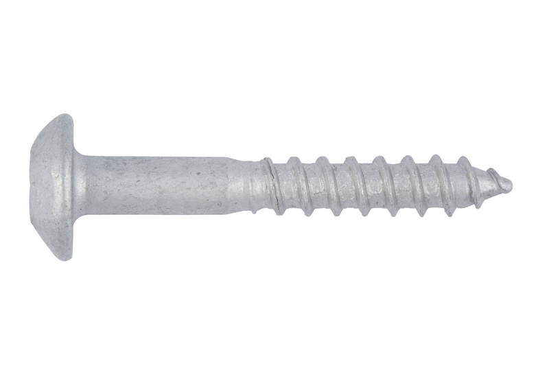 Sicherheitsschraube 10x85