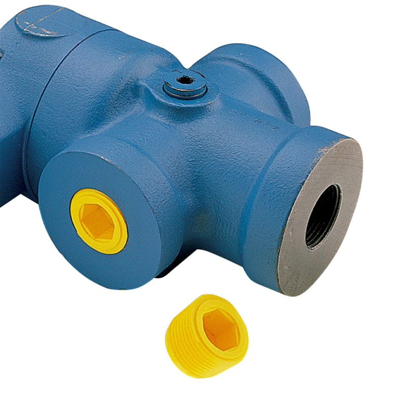 Verschlussschraube GPN 720 Form A