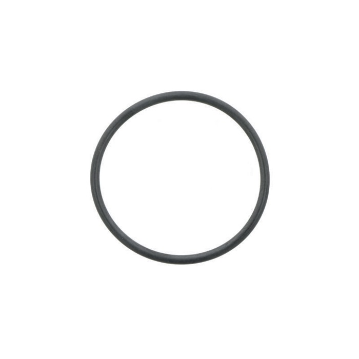 O-Ring OR118-2 ID 118mm DICHTOMATIK