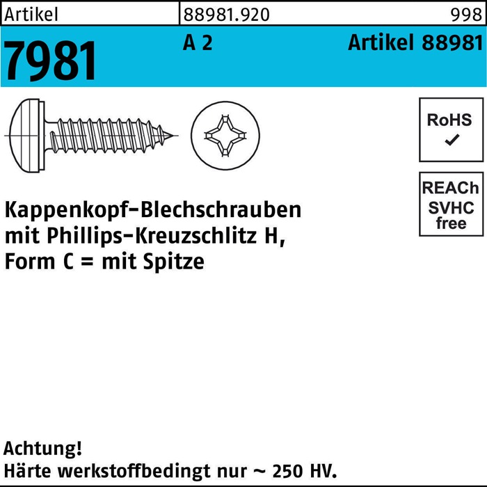 Kappenkopfblechschraube R 88981 PH 3,9x 19-H A 2 1000 Stück