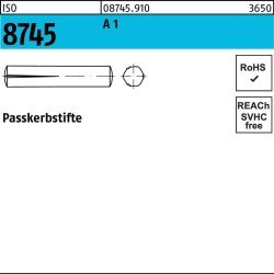 Passkerbstift ISO 8745 4x 40 A 1 100 Stück