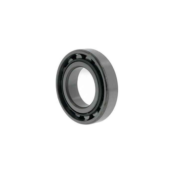 Zylinderrollenlager N209 ID 45mm AD 85mm Breite19mm NACHI
