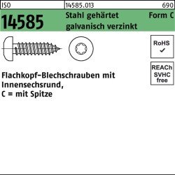 Blechschraube ISO 14585 ISR/Spitze 4,8x90 -C-T25 Stahl geh.galv.verz. 250St.