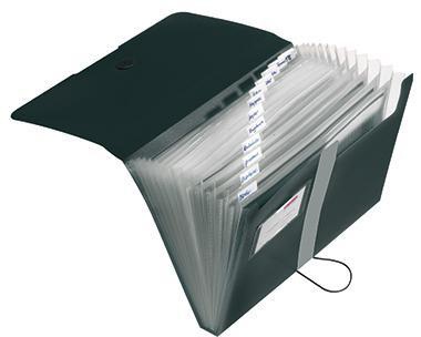 Herlitz Fächermappe easy orga to go 11208394 A4 12Fächer PP schwarz