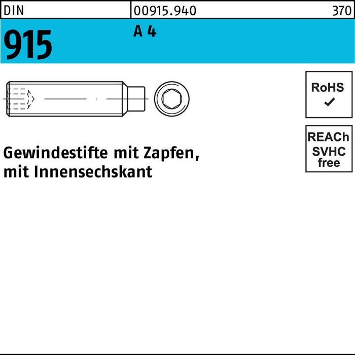 Gewindestift DIN 915 Zapfen/Innen-6kt M6x 30 A 4 200 Stück
