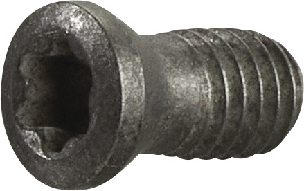 Spannschraube Gr.T15 TECWERK