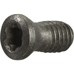 Spannschraube Gr.T15 TECWERK