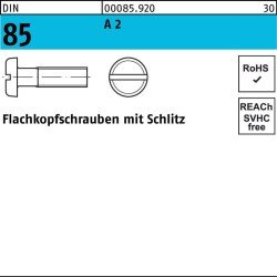 Flachkopfschraube DIN 85 m.Schlitz M5x 30 A 2 500 Stück