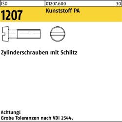 Zylinderschraube ISO 1207 Schlitz M6x 10 Polyamid 200 Stück
