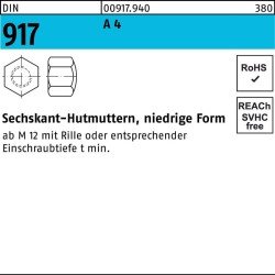 Sechskanthutmutter DIN 917 niedrige FormM6 A 4 50 Stück